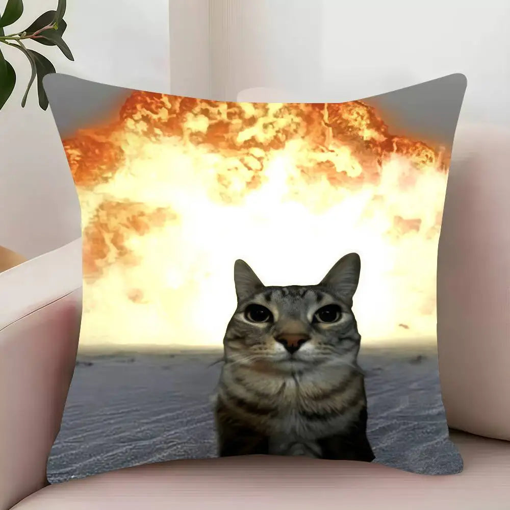 Explosive Cat