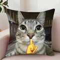 Shhhh cat