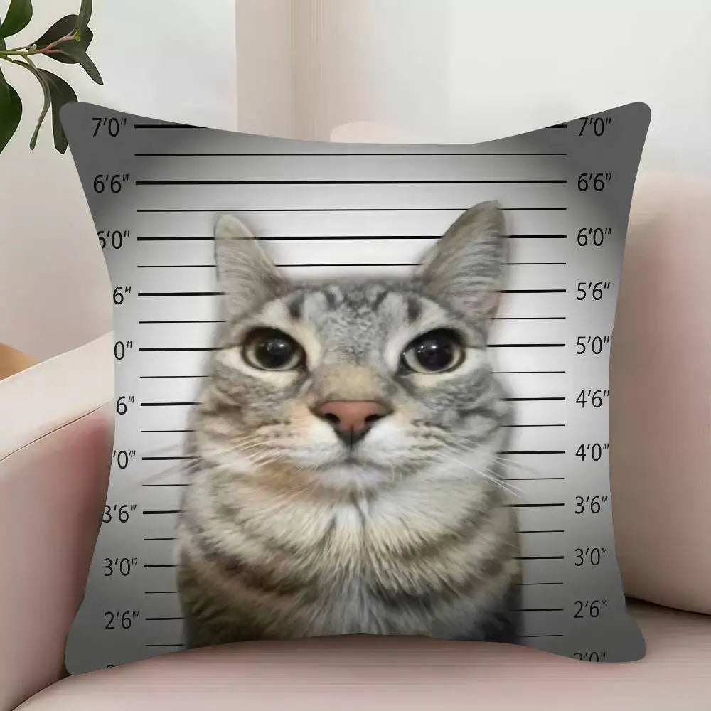 Prison Cat